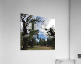 Camping Spot Acrylic Print
