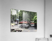 Skunk Train Acrylic Print