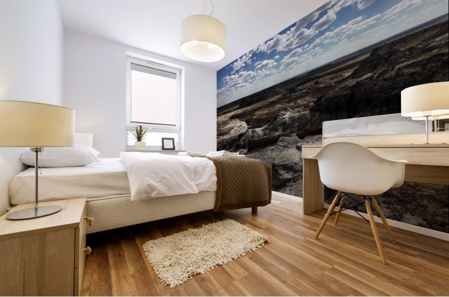 Painted Desert Mural print
