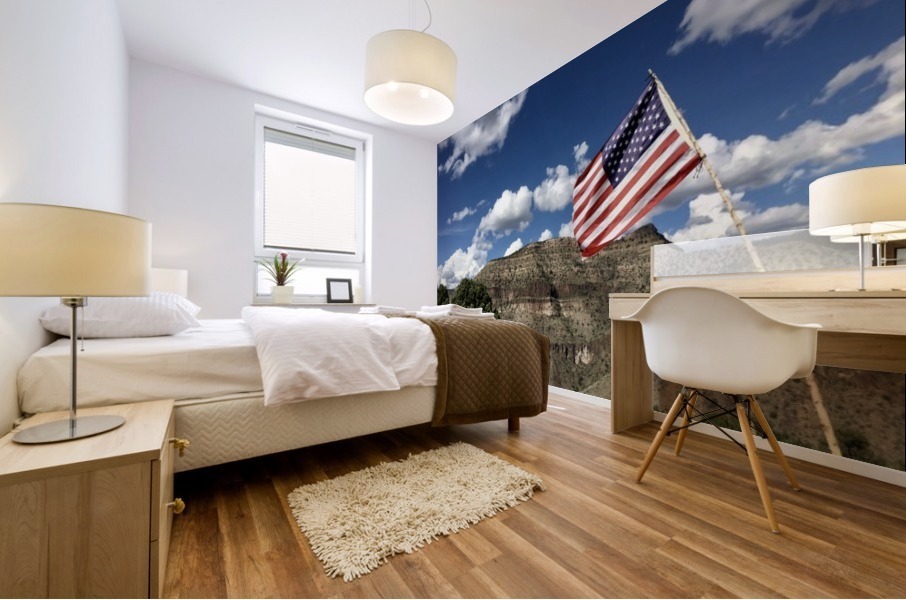 America  Mural print