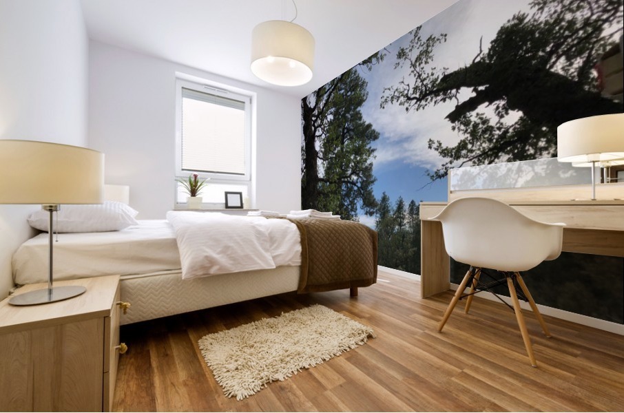 Camping Spot Mural print