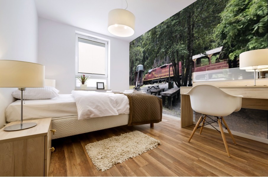 Skunk Train Mural print