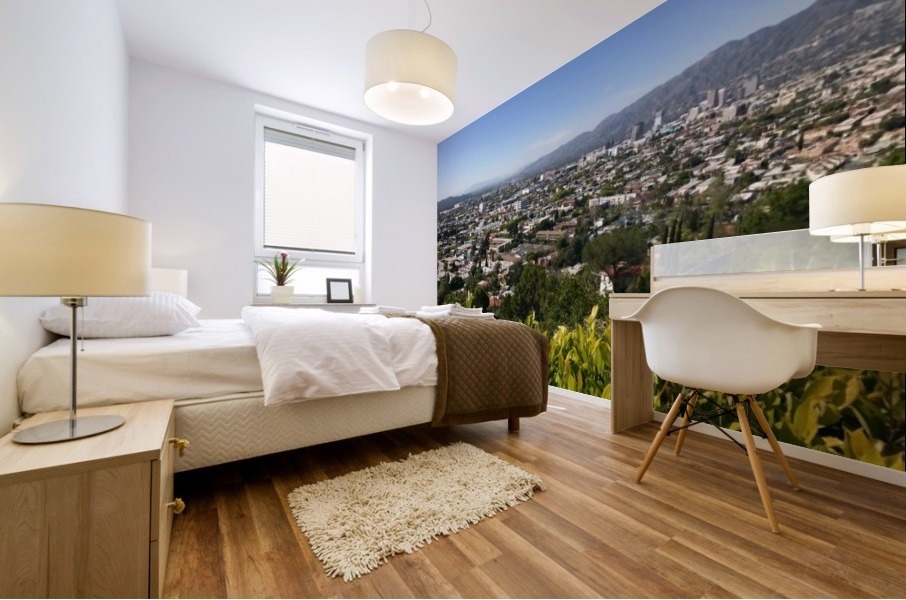 Hollywood Mural print