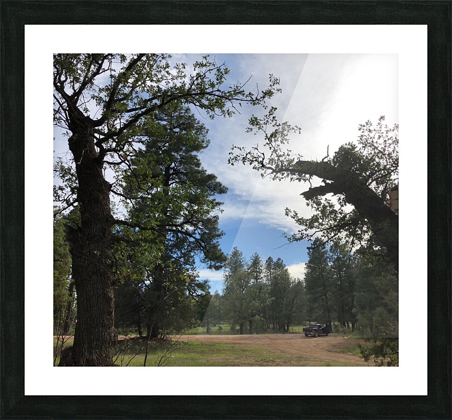 Camping Spot Picture Frame print
