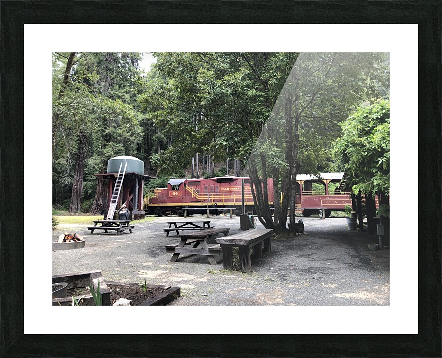 Skunk Train Picture Frame print