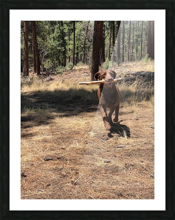 Favorite Stick Picture Frame print