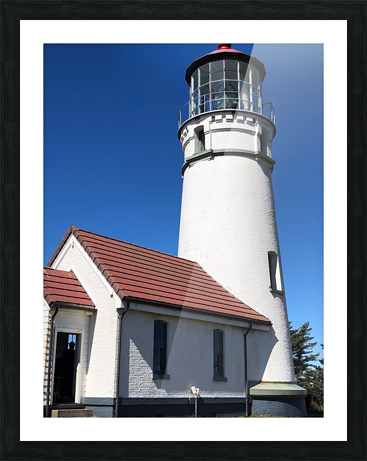Cape Blanco Picture Frame print