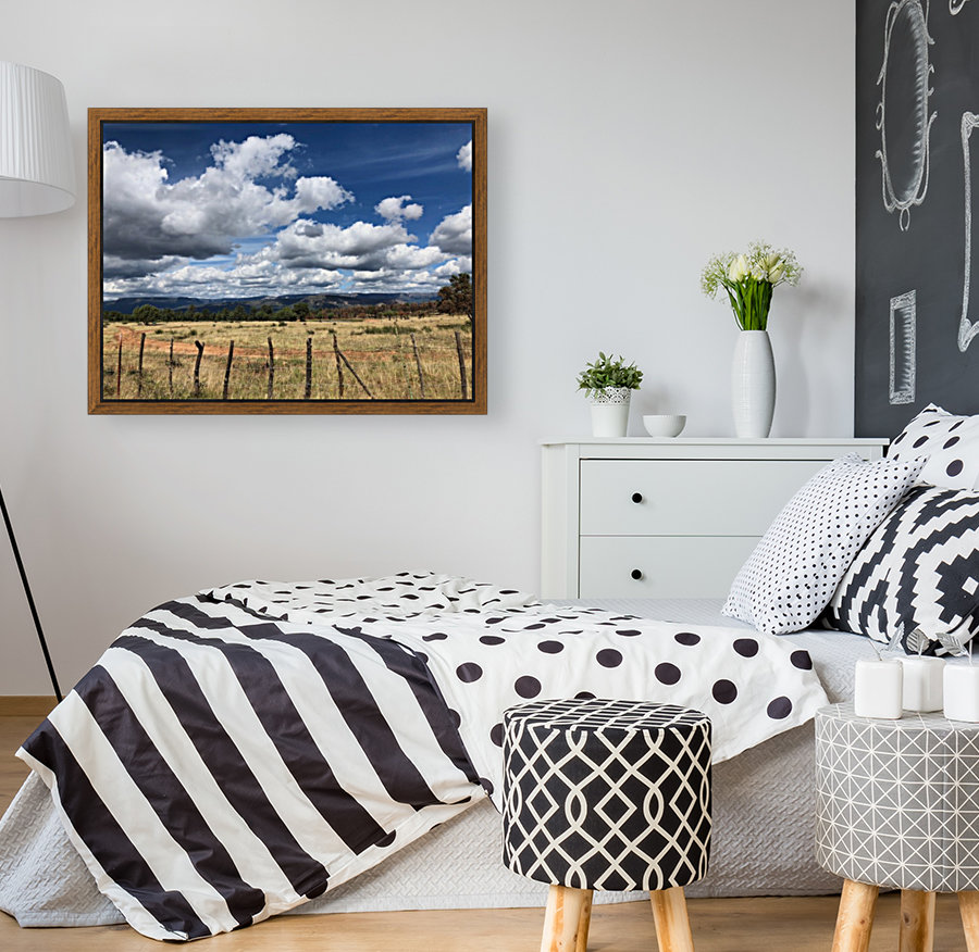 Fields of Clouds Reproduction