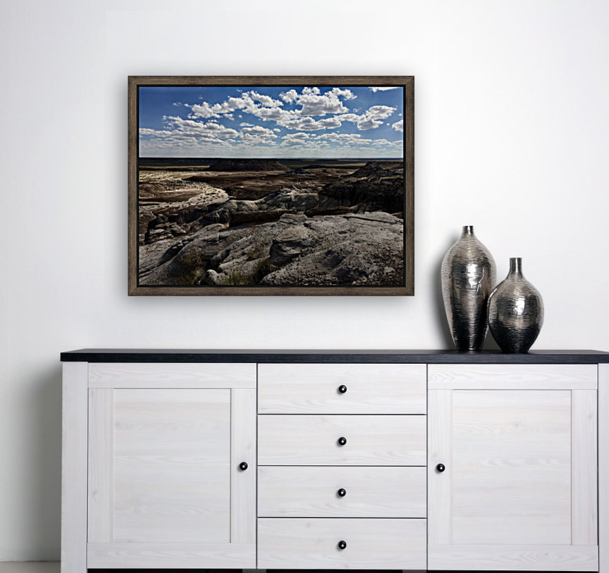 Painted Desert Reproduction
