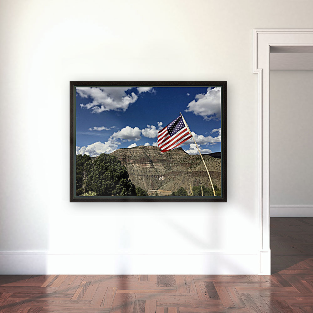 America  Reproduction