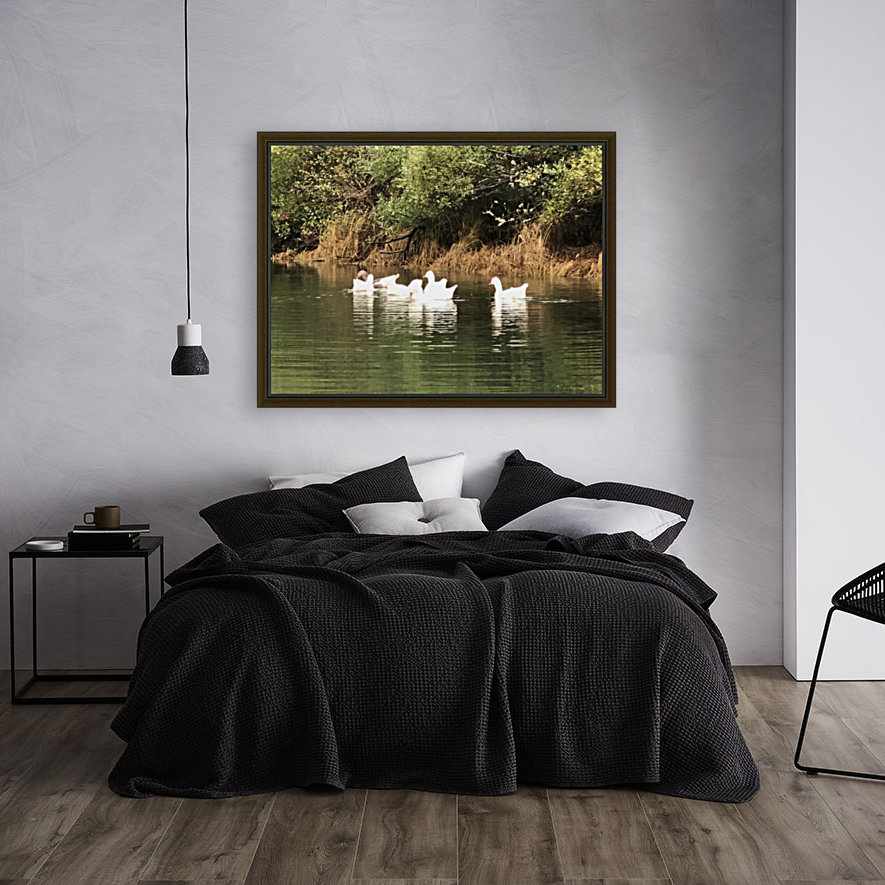 River Geese Reproduction