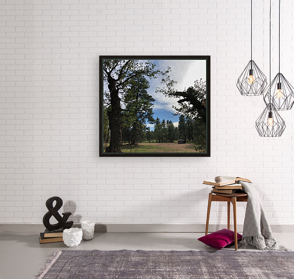 Camping Spot Reproduction