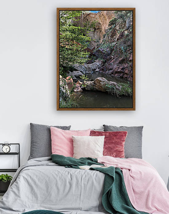 Tonto Wilderness Reproduction