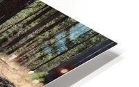 Favorite Stick HD Metal print