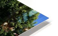 Forever HD Metal print