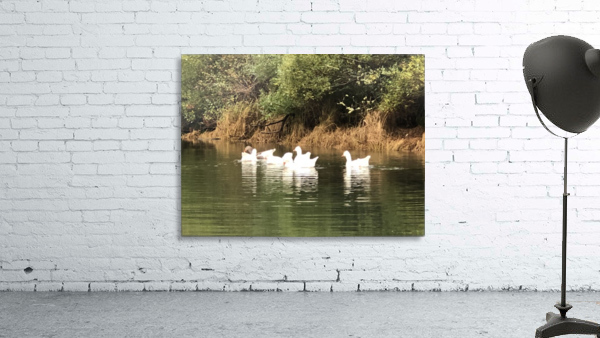 River Geese Wall Preview