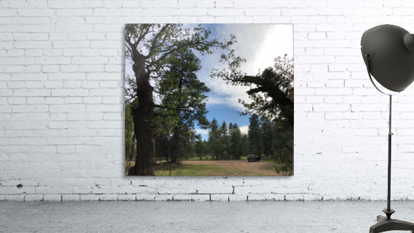 Camping Spot Wall Preview