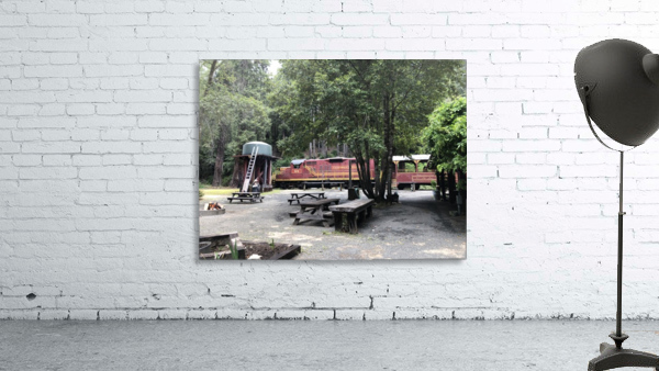 Skunk Train Wall Preview