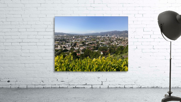 Hollywood Wall Preview