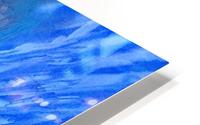 IMG_2781 HD Metal print