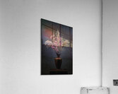  85A0277 Acrylic Print