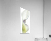 044A3508 Acrylic Print