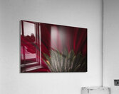 085A6451 Acrylic Print