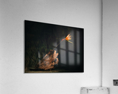 A vol doiseau Acrylic Print