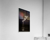 Etude Zen 10 h Acrylic Print