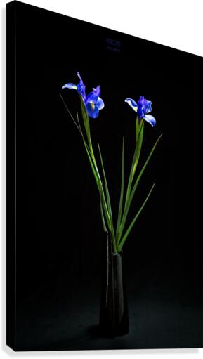 Etude Zen  11 c Canvas Print