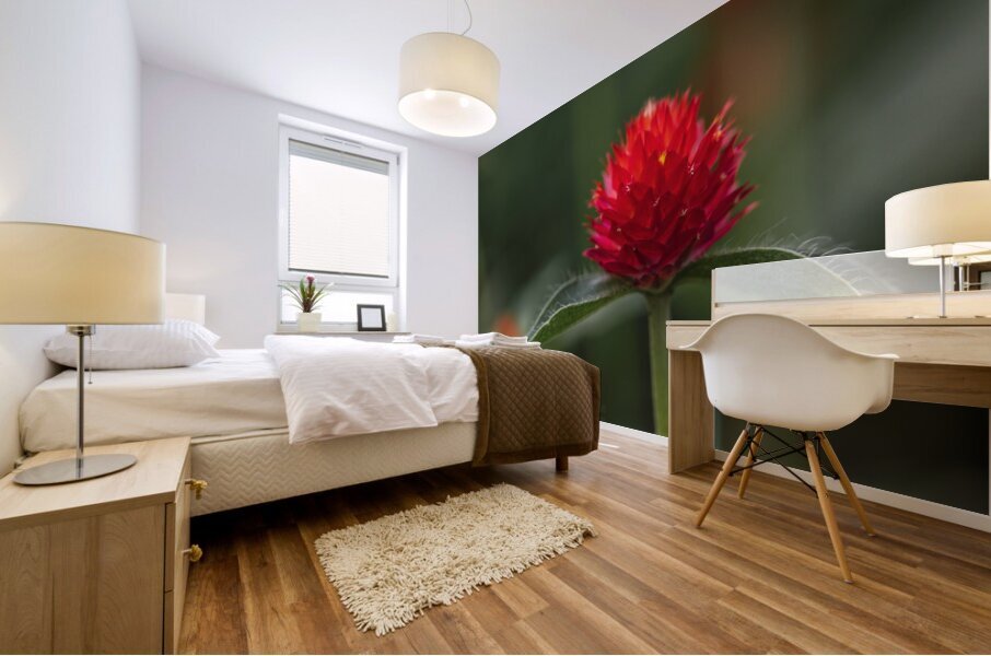  85A4798 Mural print
