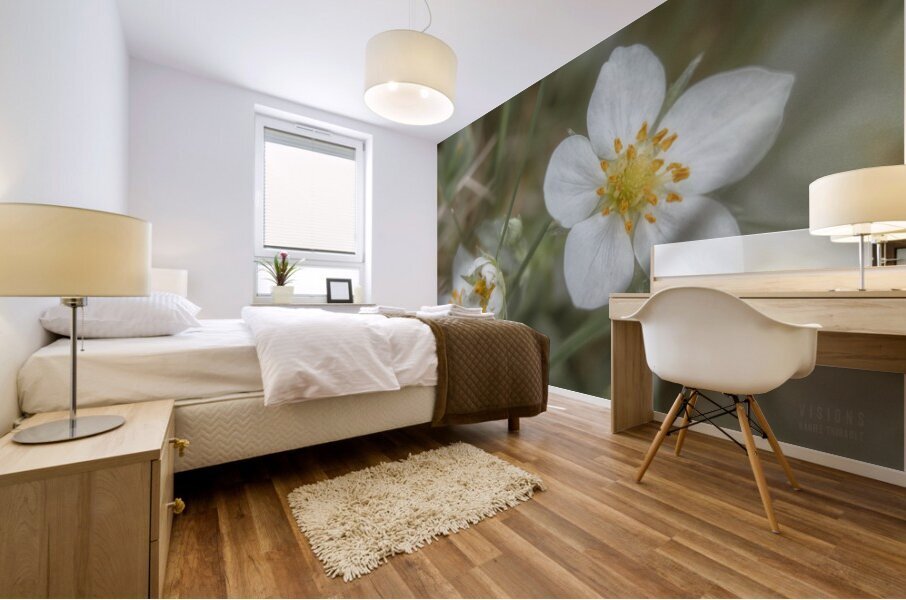 044A3499 Mural print
