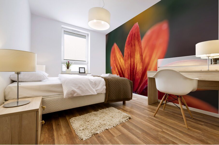 044A9563 Mural print