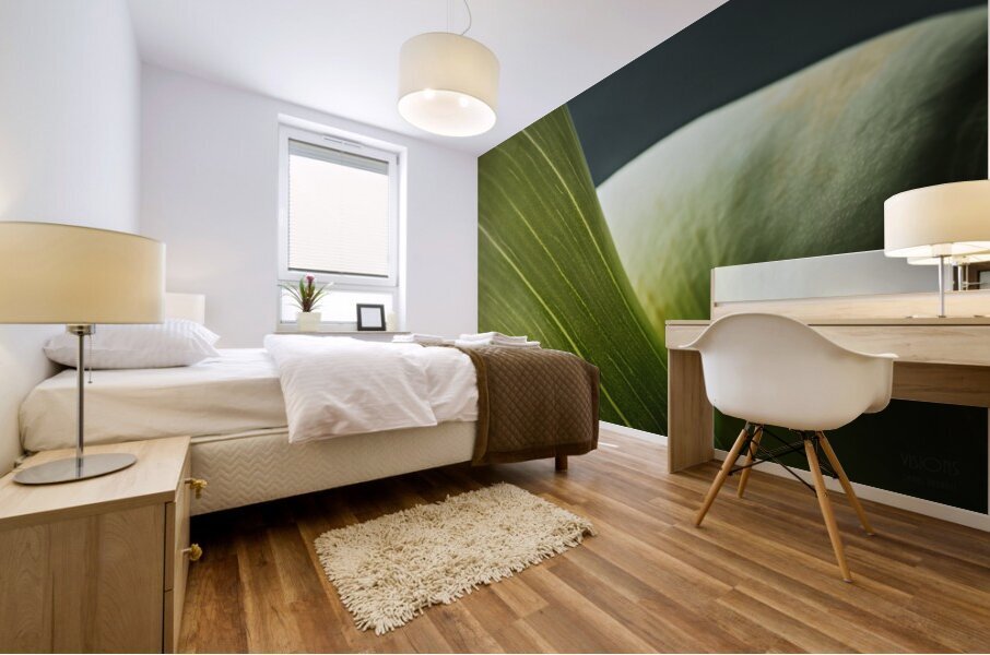 085A6980 Mural print