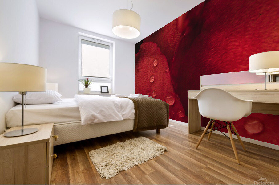 Red Mood XIII Mural print