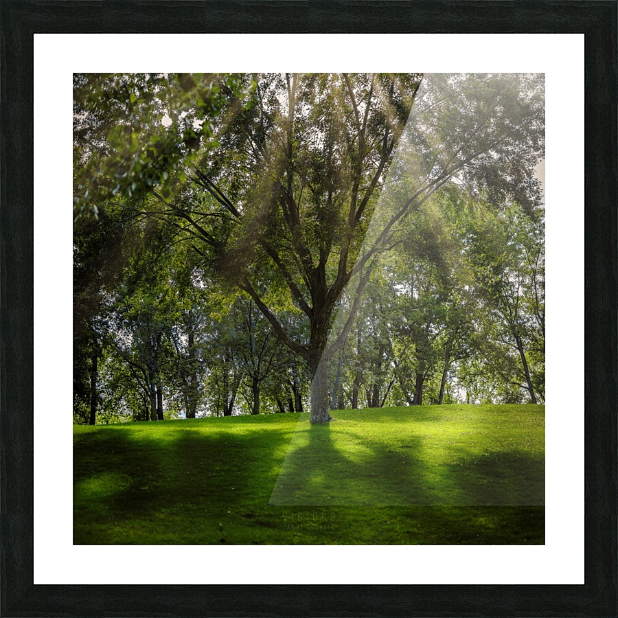 Satori Picture Frame print