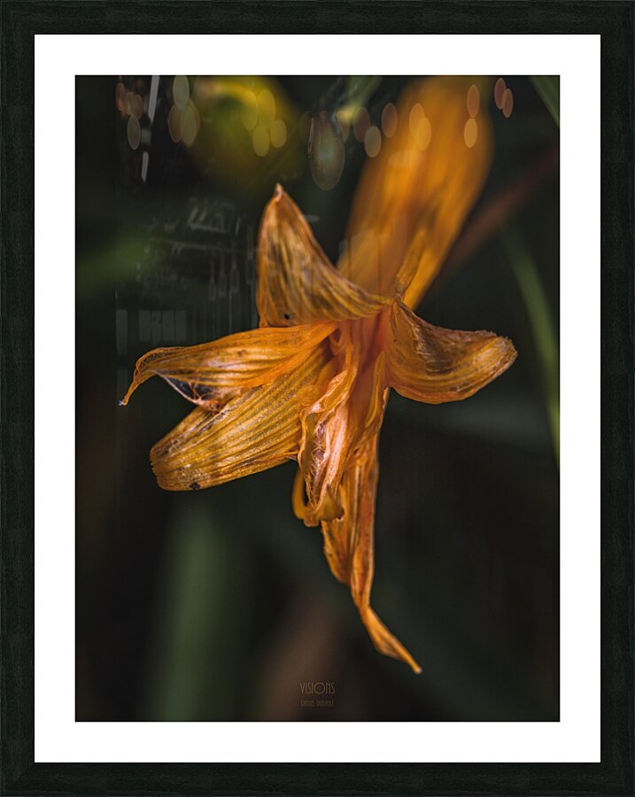  44A5999 Picture Frame print