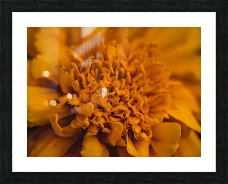  44A5656 Picture Frame print