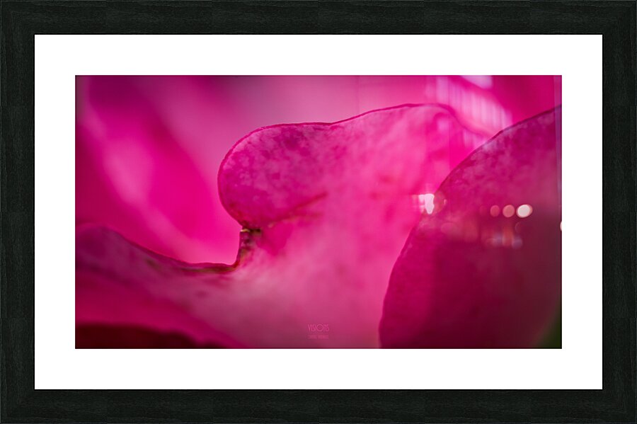  44A6011 Picture Frame print