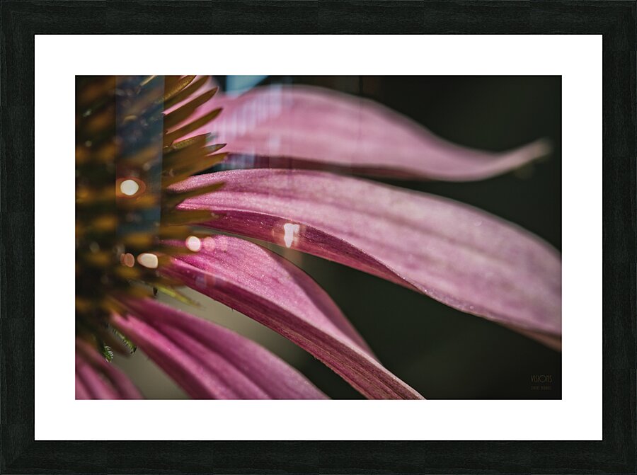  44A6028 Picture Frame print