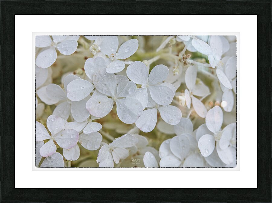  44A5918  Picture Frame print