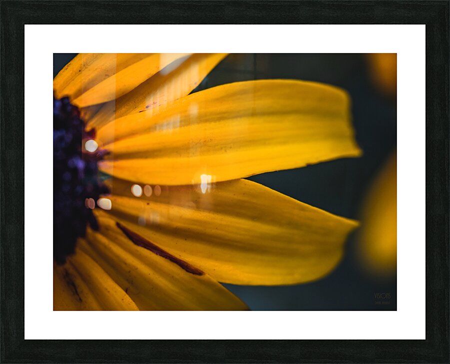  44A5932 Picture Frame print