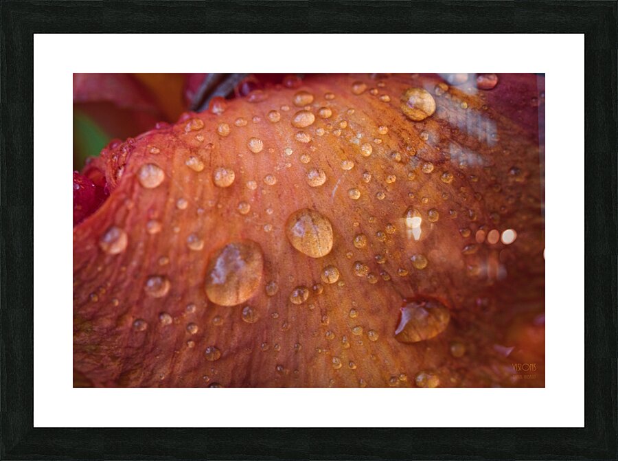  44A5950 Picture Frame print