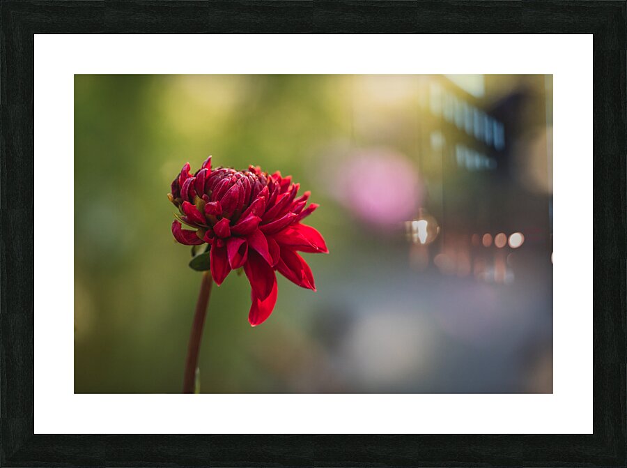 44A6560 Picture Frame print