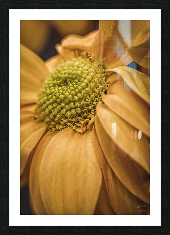 44A6419 Picture Frame print