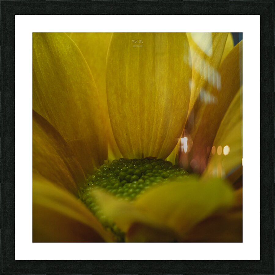  44A6336 Picture Frame print