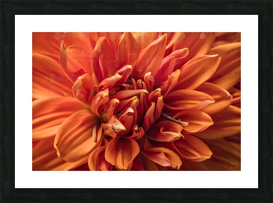  44A6640 Picture Frame print