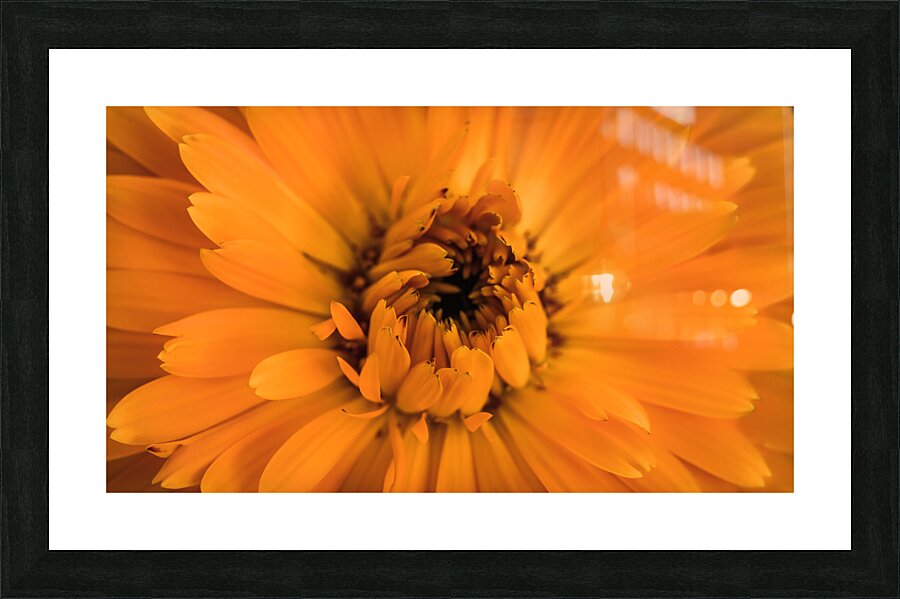  44A6277 Picture Frame print