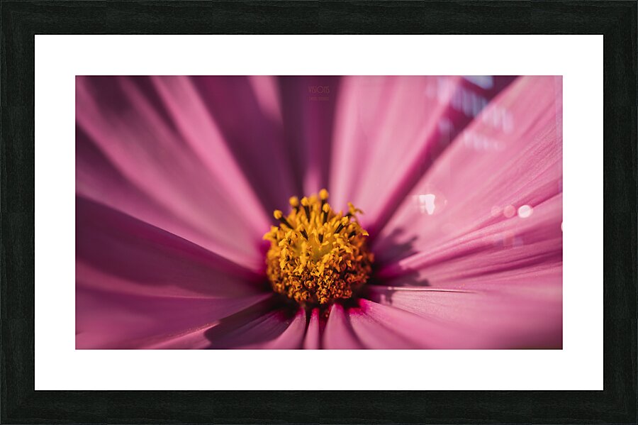  44A6481 Picture Frame print