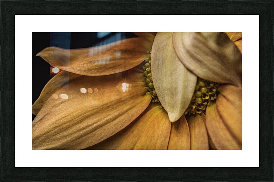  44A6424 Picture Frame print
